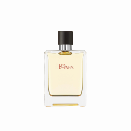 Terre D'Hermes EDT 100ML